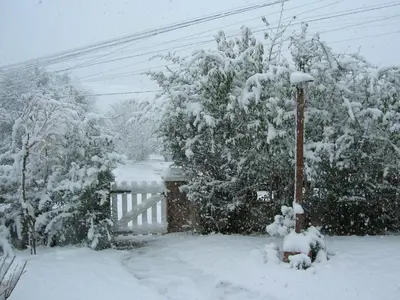 a fire hydrant covered in snow in a yard at La Soleada in Mina Clavero