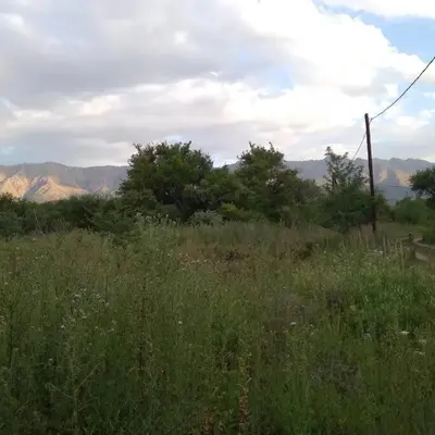 a field of tall grass with mountains in the background at Casa Cosmos, Apart para parejas in Las Rabonas