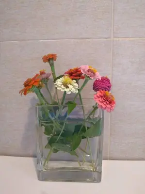 a vase filled with flowers sitting on a counter at Casa Cosmos, Apart para parejas in Las Rabonas