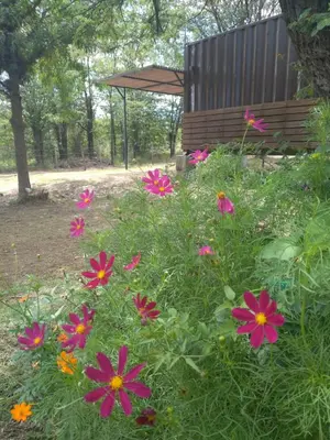 a garden with pink flowers and a wooden bench at Casa Cosmos, Apart para parejas in Las Rabonas