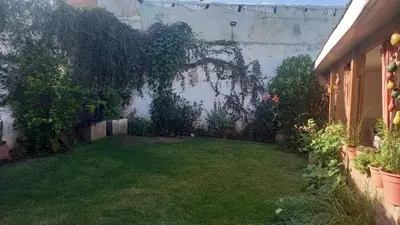 a backyard with a yard with green grass at CASA AMPLIA Y CONFORTABLE in Cordoba