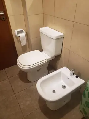 a bathroom with a toilet and a sink at ALTOS DE ALEM in Alta Gracia