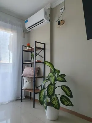 a plant in a room with a shelf at CR Apartment in Cordoba