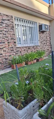 a garden of plants in front of a building at Patuli House - Casa alquiler temporario Córdoba in Cordoba