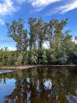 a view of a river with trees in the background at La Posta del Jesuita in Villa Los Aromos