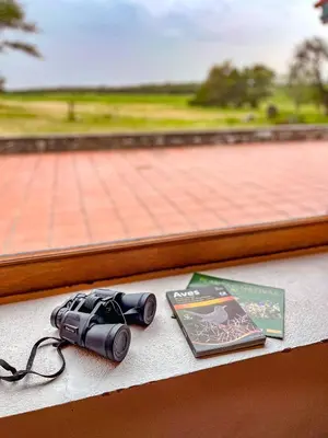 a camera sitting on a table next to a book at Posta Calma inmerso en la naturaleza in San Agustín
