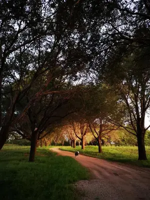 a dog walking down a dirt road in a park at Posta Calma inmerso en la naturaleza in San Agustín