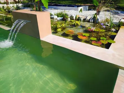 a pond with a water fountain and koi fishes at Posta Calma inmerso en la naturaleza in San Agustín