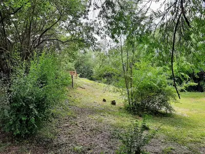 two animals in a field with trees and grass at La vertiente in Villa Yacanto