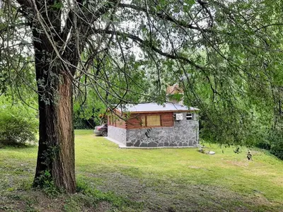 a small house in a yard with a tree at La vertiente in Villa Yacanto