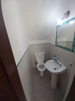 a bathroom with a toilet and a sink at Tantanakuy in Villa General Belgrano