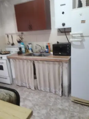 a kitchen with a sink and a white refrigerator at Andresito in Santa María