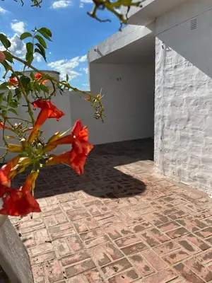 a plant with red flowers on a brick patio at Departamento Balneario (Centro) in Villa Dolores