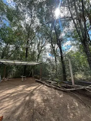 a picnic shelter in the middle of a forest at Villa Simona in Santa Rosa de Calamuchita