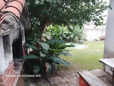 a plant in a garden next to a building at Alquiler temporario villa Carlos Paz in Villa Carlos Paz