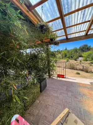 a patio with a roof with plants and a bench at Hospedaje Frente al Rio el Rancho in Santa Rosa de Calamuchita