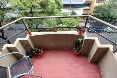 a set of stairs with potted plants on them at Monoambiente en Nueva Cordoba in Cordoba