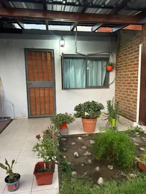 a front door of a house with potted plants at La Casa de Petro in Cordoba