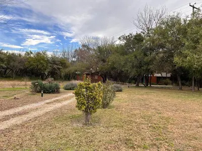 a bush in the middle of a field with trees at cabañas Villa de las rosas in Villa de Las Rosas