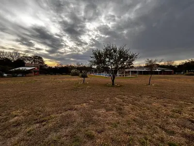 a field with a tree in the middle of it at cabañas Villa de las rosas in Villa de Las Rosas