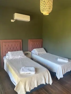 two beds in a room with green walls at lo de lucio in Almafuerte