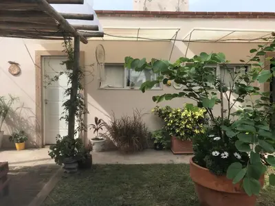 a house with a bunch of potted plants in the yard at FINCA URBANA departamentos in Alta Gracia