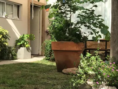 a plant in a large pot in a yard at FINCA URBANA departamentos in Alta Gracia