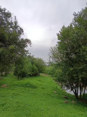 a path through a field with trees next to a river at Casa de Beto Estancia Vieja in Estancia Vieja