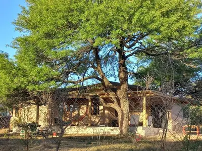 a house with a tree in front of it at Hermosa casa amplia y luminosa in Villa Los Aromos