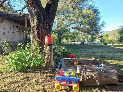 a toy train sitting on a log next to a tree at Hermosa casa amplia y luminosa in Villa Los Aromos