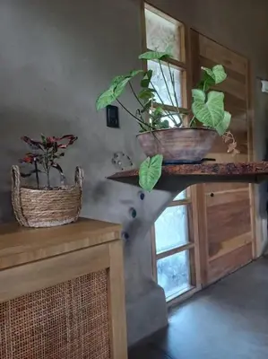 two potted plants on a shelf in a room at Hermosa casa amplia y luminosa in Villa Los Aromos