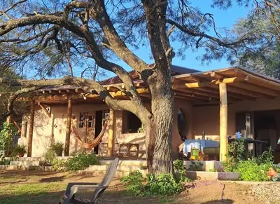 a house with a tree and a bench in front of it at Hermosa casa amplia y luminosa in Villa Los Aromos
