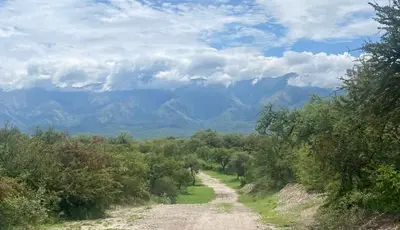 a dirt road with trees and mountains in the background at Casa en La Comarca in San Javier