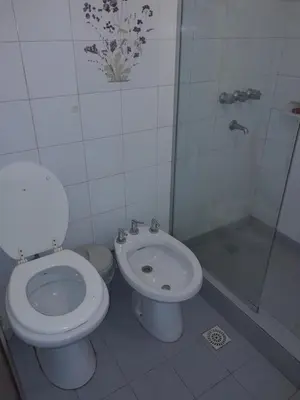a white bathroom with a toilet and a shower at Cerro de las Rosas in Cordoba