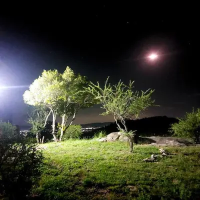 two trees in a field at night with a moon at La Loma del Valle in Tanti