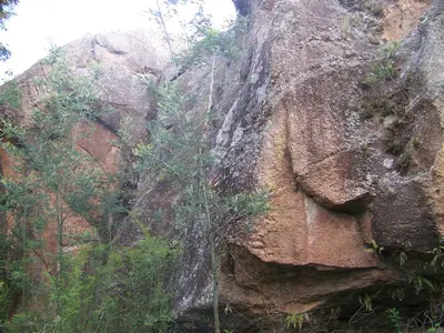 a rock with a plant growing out of it at Espejo Escondido in Tanti