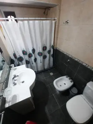 a bathroom with a sink and a toilet and a shower curtain at Cabaña Kiara VGB in Villa General Belgrano