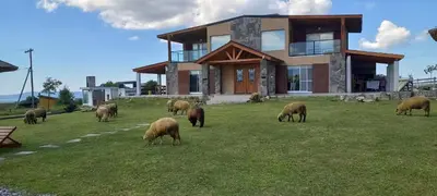 a herd of sheep grazing in front of a house at Las Calandrias in La Cumbrecita