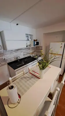 a kitchen with a table with a plant on it at Apartamento -Alberdi Chic B- Barrio cercanos Nueva Córdoba, Güemes, Alberdi, By Apartcba in Cordoba