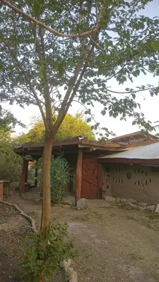 a house with a tree in front of it at EcoCasa in Cordoba