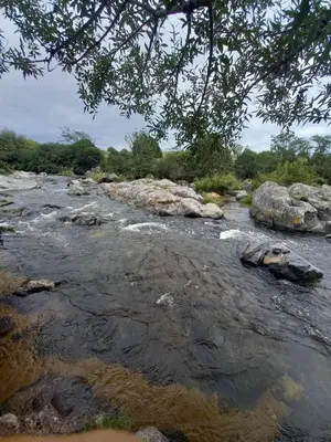 a river with rocks in the middle of it at EcoCasa in Cordoba