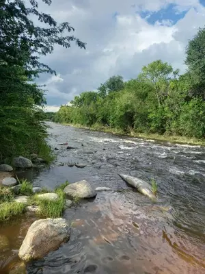 a river with rocks and trees on the side at EcoCasa in Cordoba