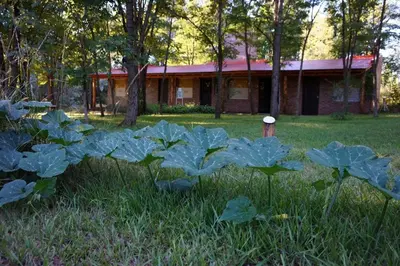 a group of plants in the grass in front of a house at Santa Mate in Nono