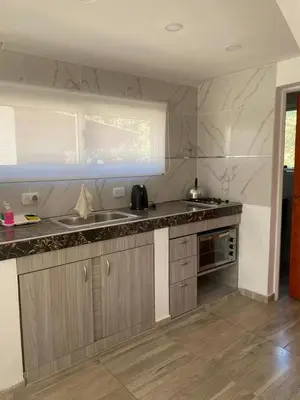 a kitchen with a sink and a counter top at cuatro vientos 1 in Santa Rosa de Calamuchita