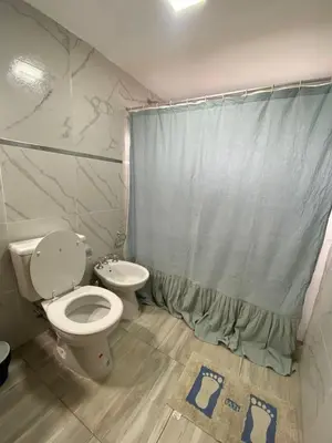 a bathroom with a toilet and a shower curtain at cuatro vientos 1 in Santa Rosa de Calamuchita