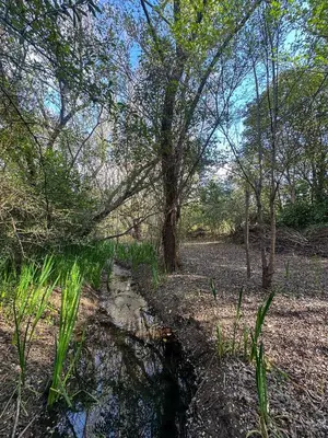 a small pond in a field with trees and grass at Casa de piedra con jardin y pileta - privada in Los Hornillos