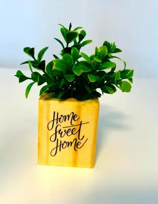 a plant in a yellow pot with the words home sweet home at DEPARTAMENTO CENTRAL in Cordoba