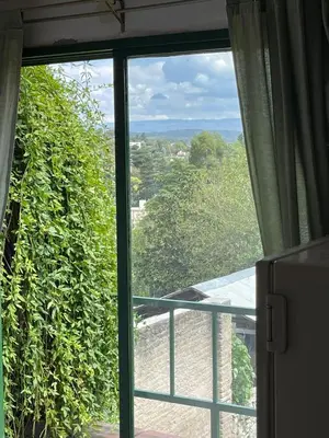 a window in a room with a view of trees at Petit House in Villa Carlos Paz