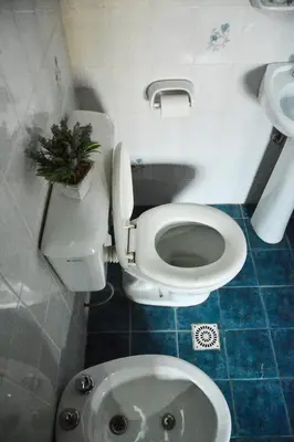 a bathroom with a toilet and a potted plant at El Quincho in Santa Rosa de Calamuchita