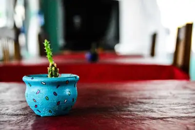 a blue vase with a plant in it on a table at El Quincho in Santa Rosa de Calamuchita